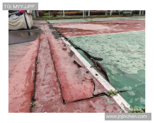 姚明莅临南岭传递篮球精神助力青少年成长与发展