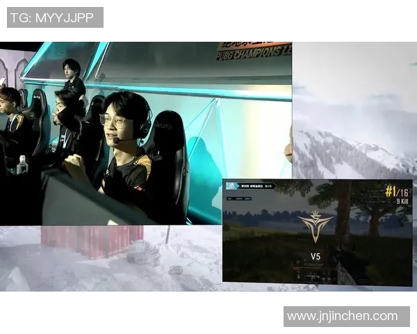 深入分析V5战队的区域防守策略与战术布局